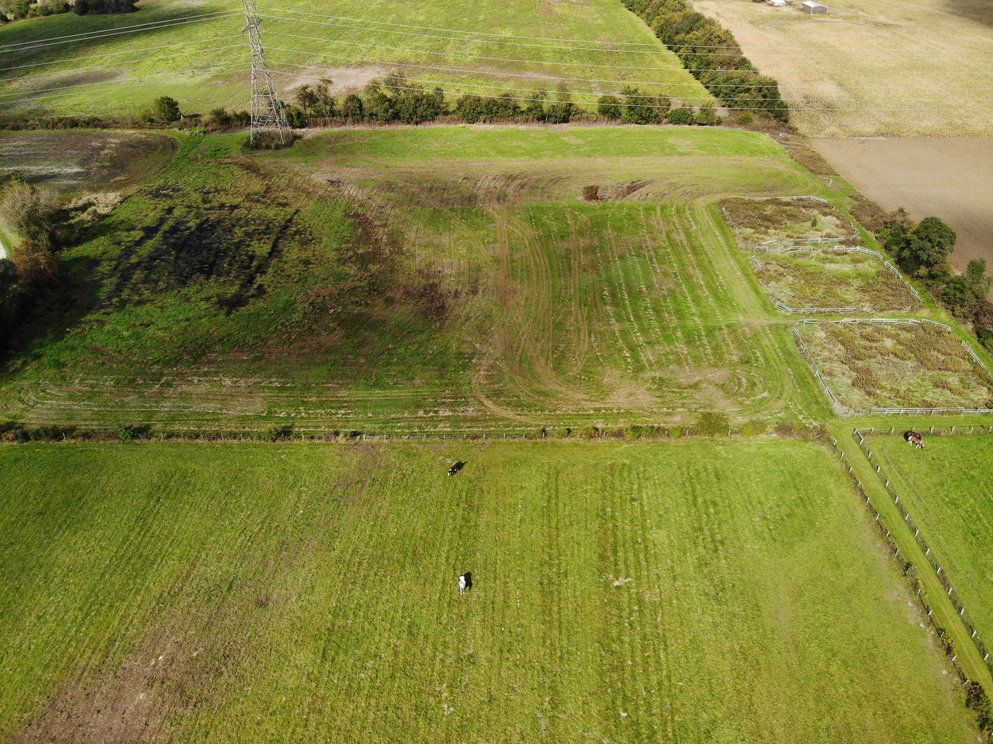 546 East Munz Road Crete, IL 60417 - Photo 11 of 16 a view of an ocean