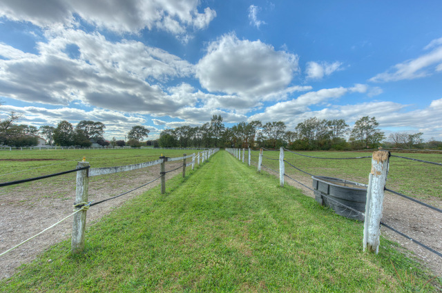 546 East Munz Road Crete, IL 60417 - Photo 4 of 16 a view of a garden with an outdoor space