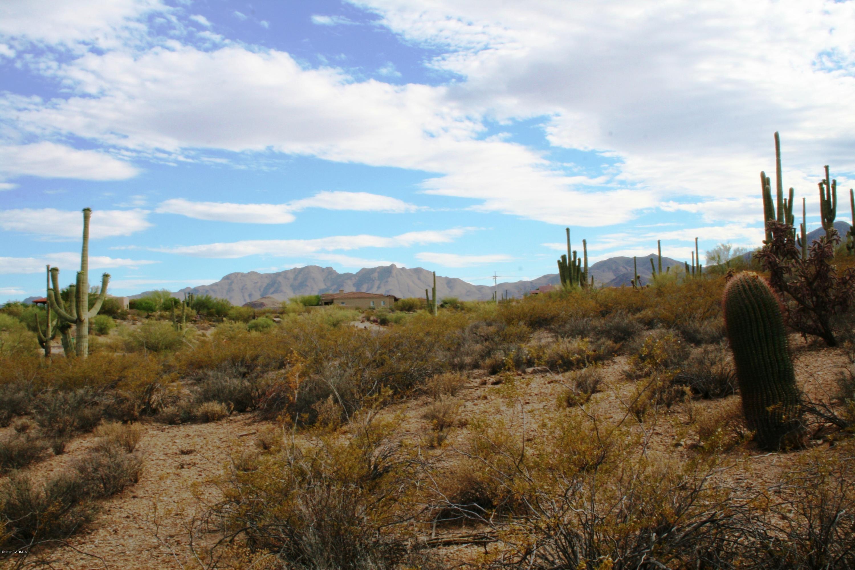 6075 North Abington Road, Unit LOT 4 Tucson, AZ 85743 - Photo 29 of 31