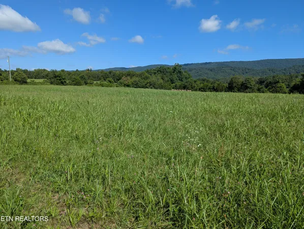 $59,000 | 1 Doc Hill Road, Unit 49 010, Rutledge, TN 37861