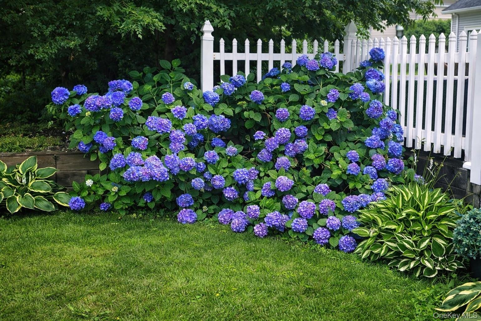 408 Leisure Drive Ridge, NY 11961 - Photo 17 of 17 a view of a flower in a garden