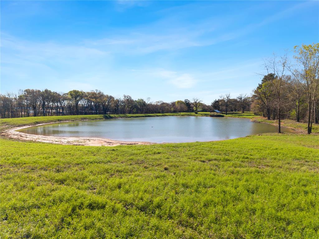 8260 Highway 31 Athens, TX 75751 - Photo 6 of 15 a view of a lake with houses in the back