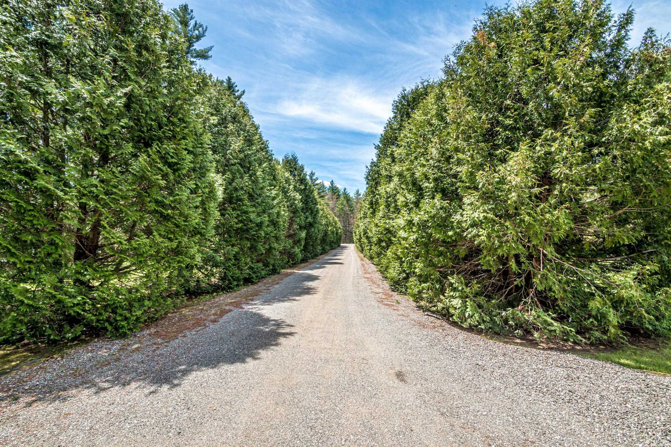373 Green Hill Road Conway, NH 03813 - Photo 29 of 30