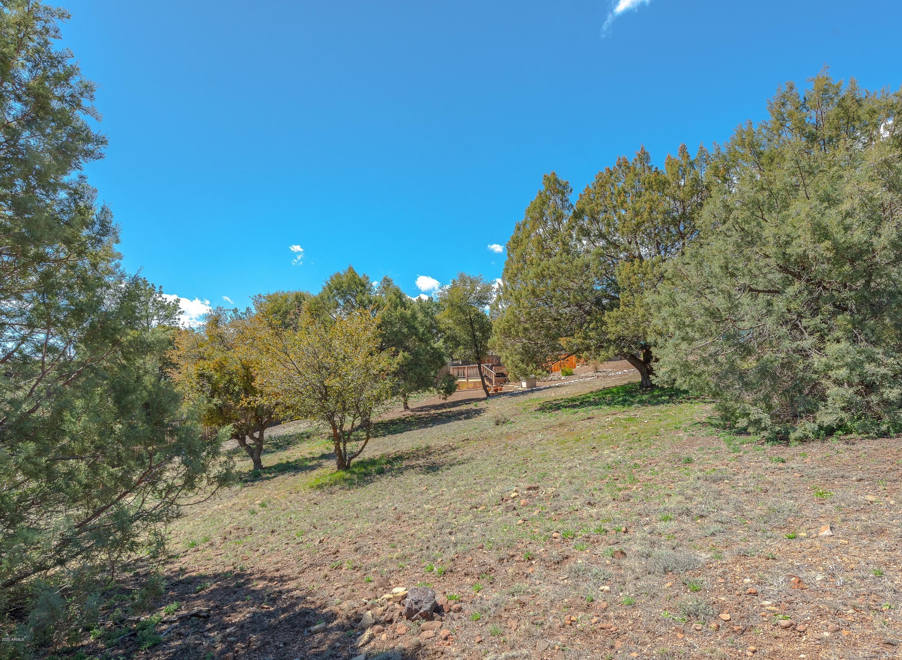 3085 Geronimo Road Prescott, AZ 86305 - Photo 41 of 44 041_Backyard