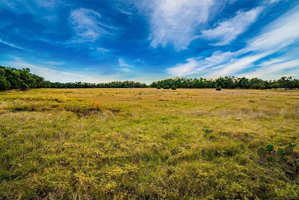Lot 25 Reservation Road, Unit 25 Harper, TX 78631 - Photo 3 of 5 Gallery Image 3