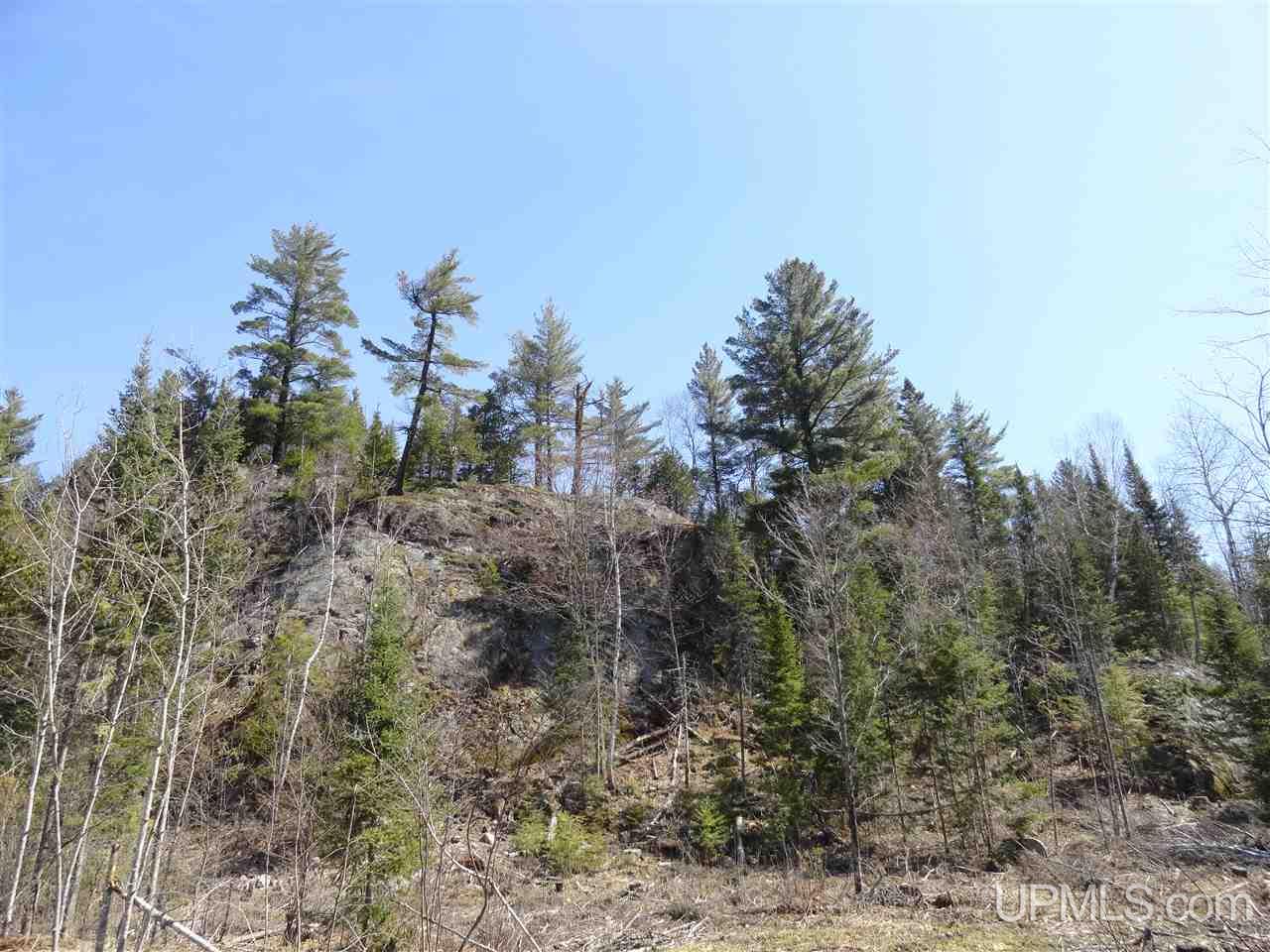 68-acres Peshekee Grade Road Skanee, MI 49861 - Photo 6 of 14