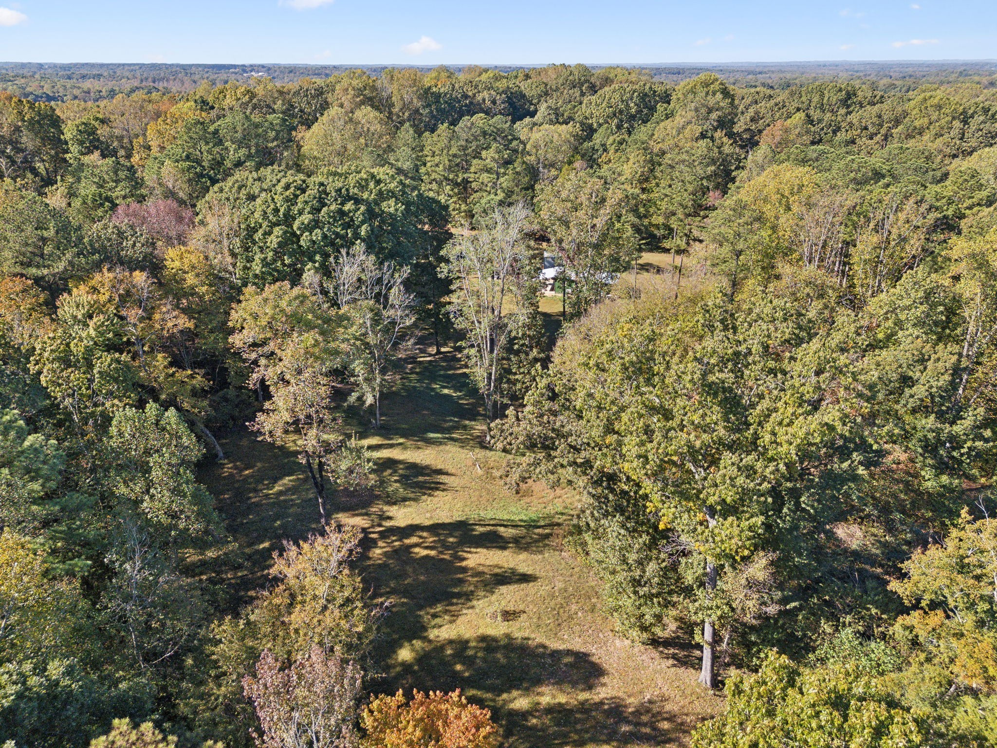 534 Whitney Branch Road Springville, TN 38256 - Photo 24 of 41 Gallery Image 24