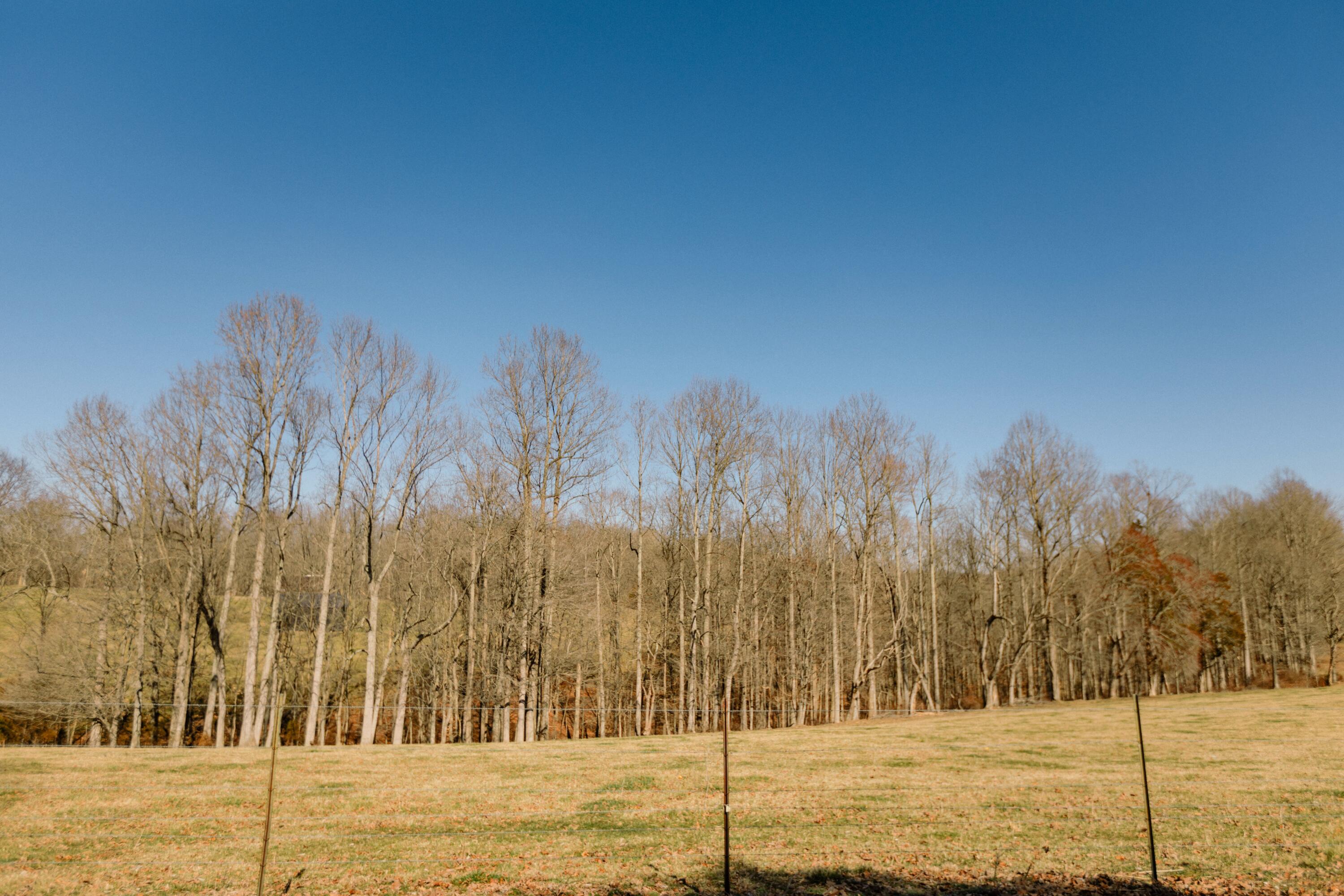 135 Wesley West Road Science Hill, KY 42553 - Photo 38 of 39 Wesley West - 25