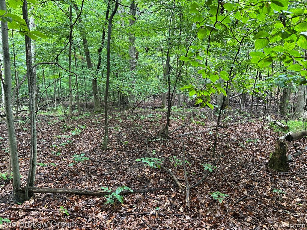 0 Welch Road Yale, MI 48097 - Photo 7 of 24