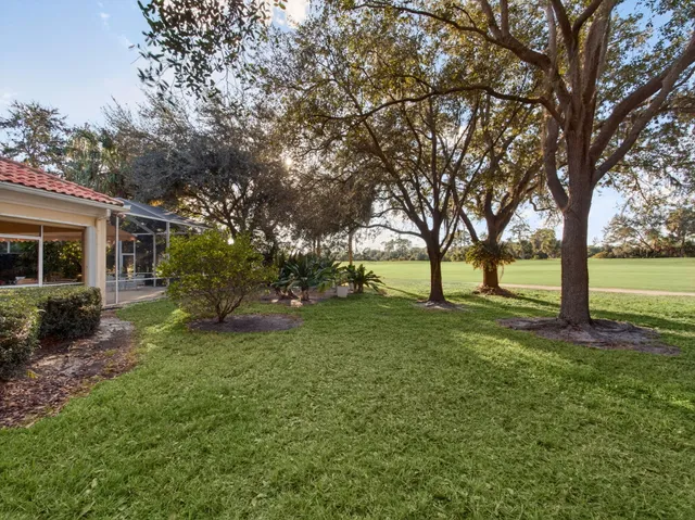 a view of a yard with a tree