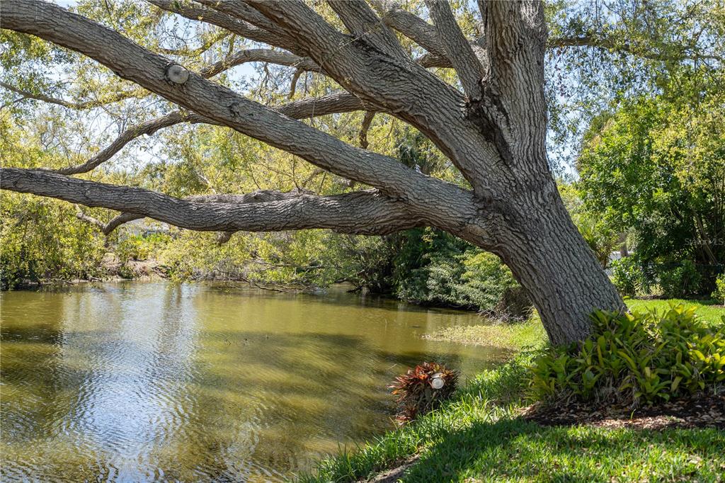 1802 Field Road Sarasota, FL 34231 - Photo 77 of 78 Gallery Image 77