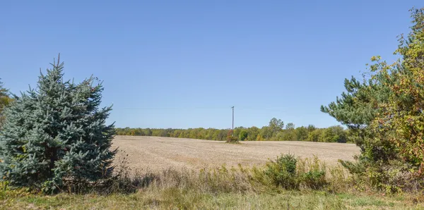 $60,000 | Brocklebank Road, Quincy, MI 49082