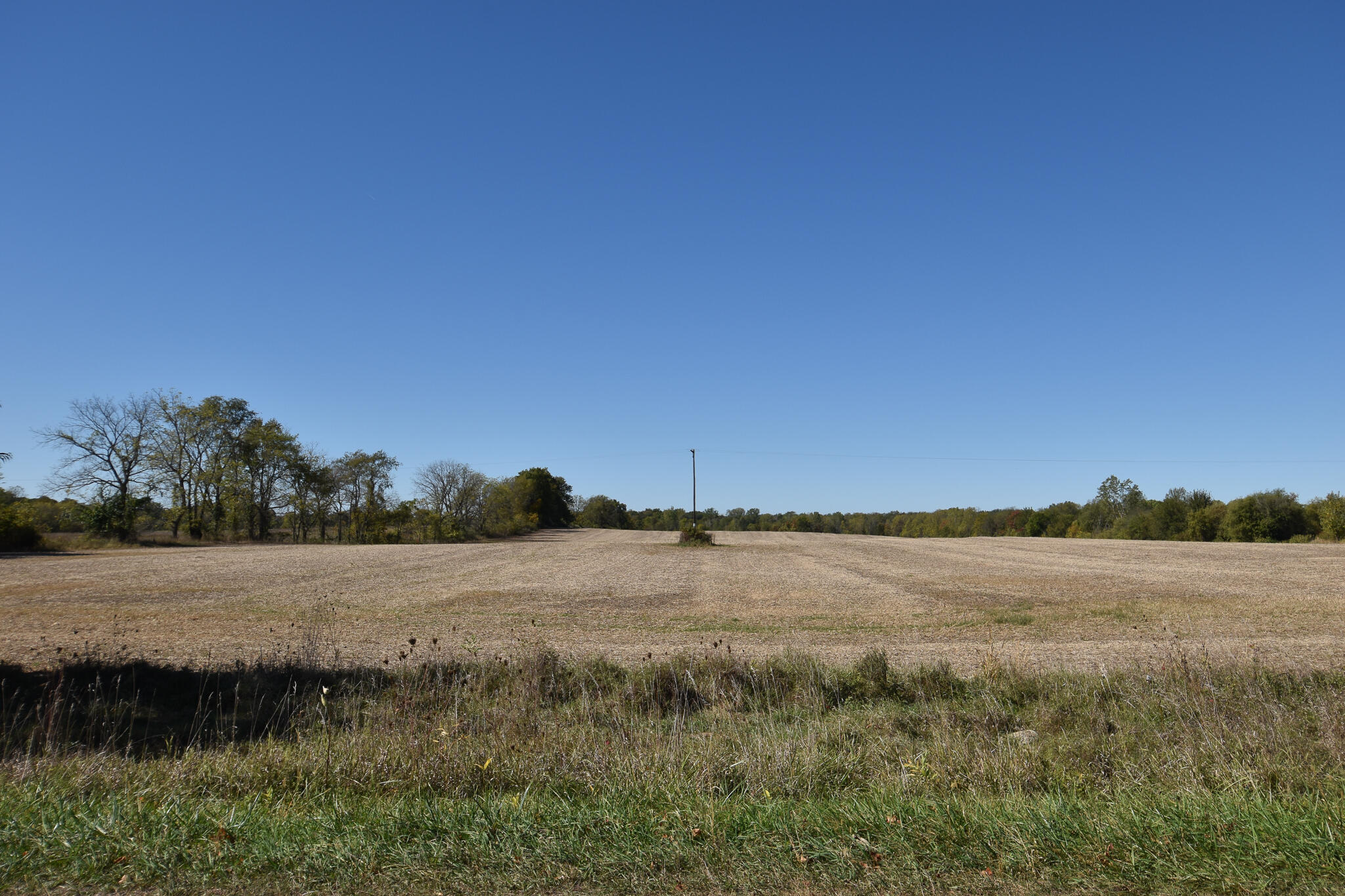 Brocklebank Road Quincy, MI 49082 - Photo 2 of 3 DSC_0170