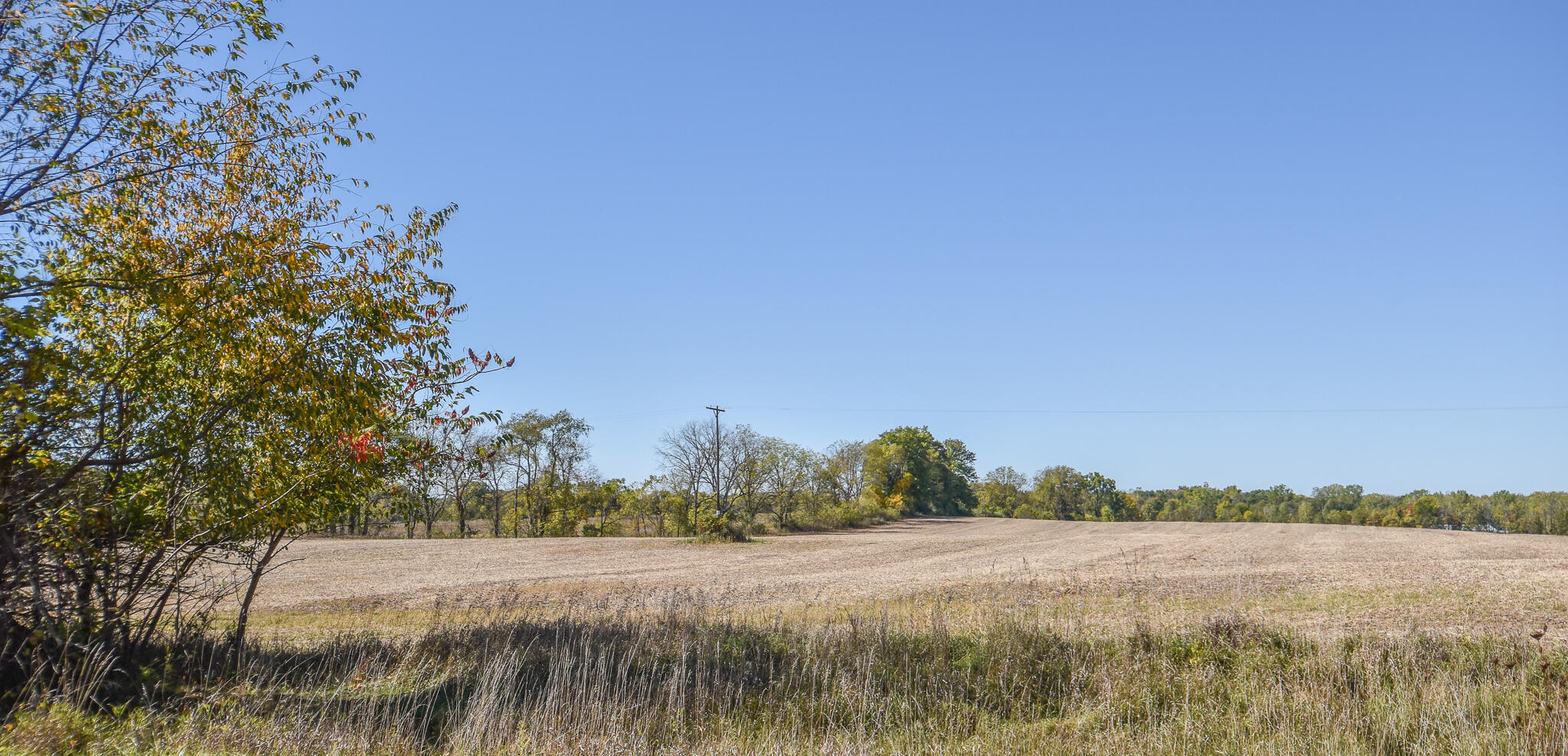 Brocklebank Road Quincy, MI 49082 - Photo 3 of 3 DSC_0173