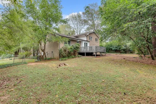 a tall tree in middle of the yard