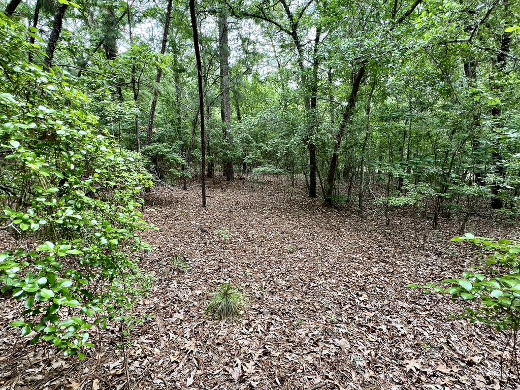 0 Shell Stone Trail Aiken, SC 29803 - Photo 3 of 6