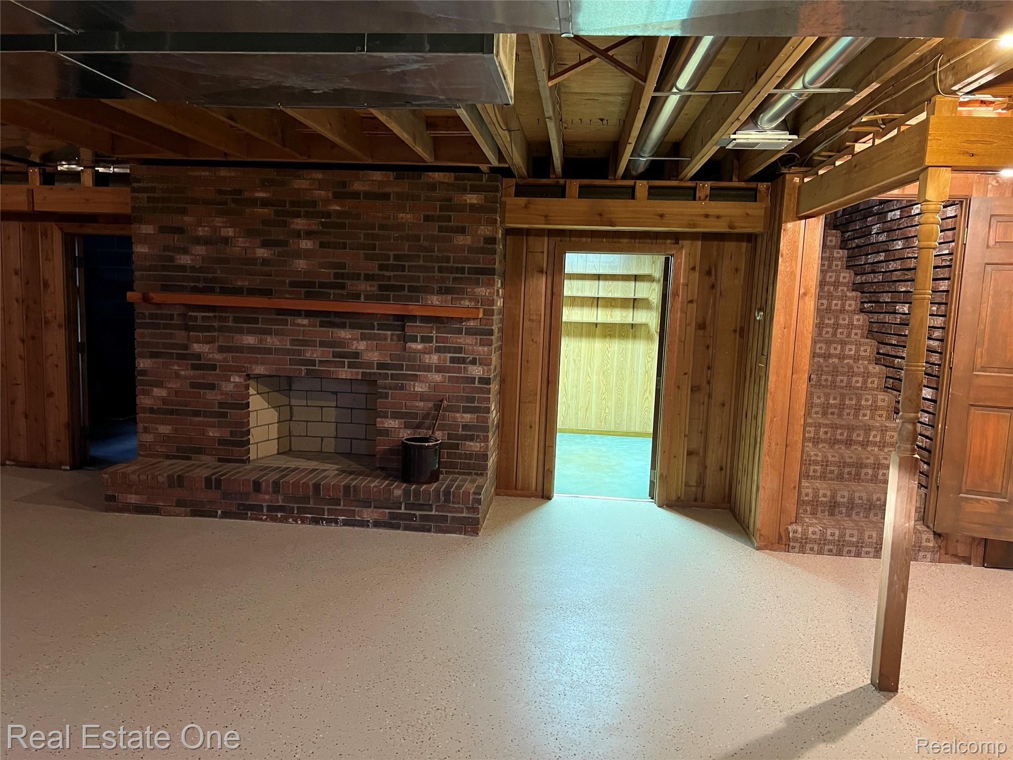 wildcat3.jpg