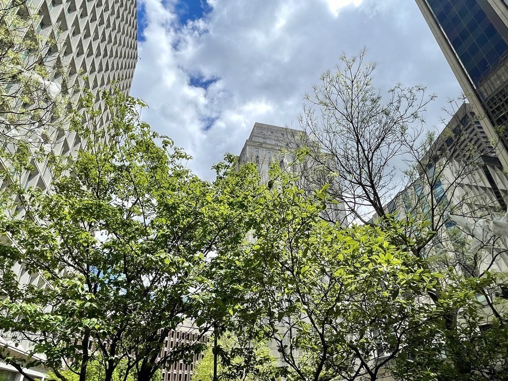 10 Bowdoin Street, Unit 202 Boston, MA 02114 - Photo 15 of 16