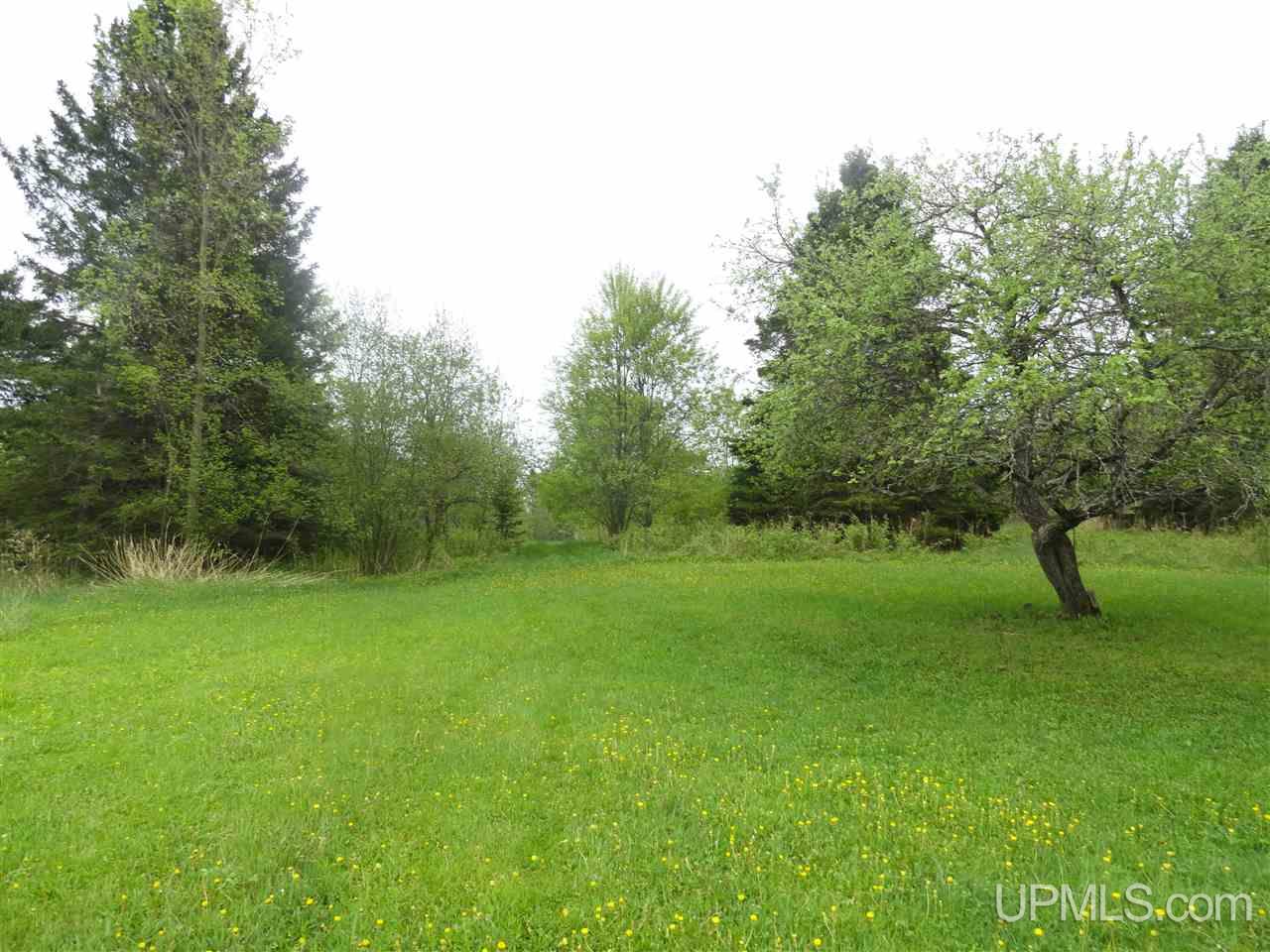 13740 Hahn Road Engadine, MI 49827 - Photo 9 of 48 Gallery Image 9