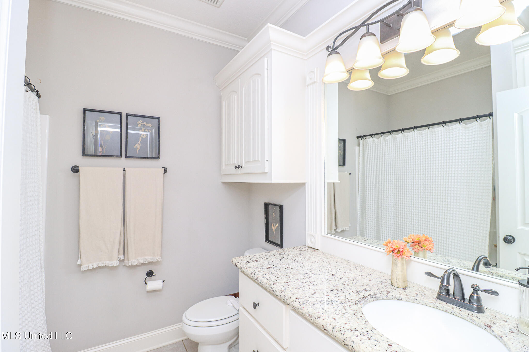 212 Falls Crossing Madison, MS 39110 - Photo 13 of 39 212 Falls Crossing 8