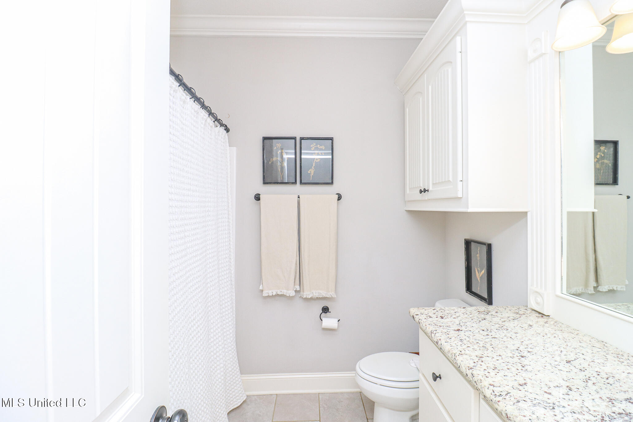 212 Falls Crossing Madison, MS 39110 - Photo 14 of 39 212 Falls Crossing 9