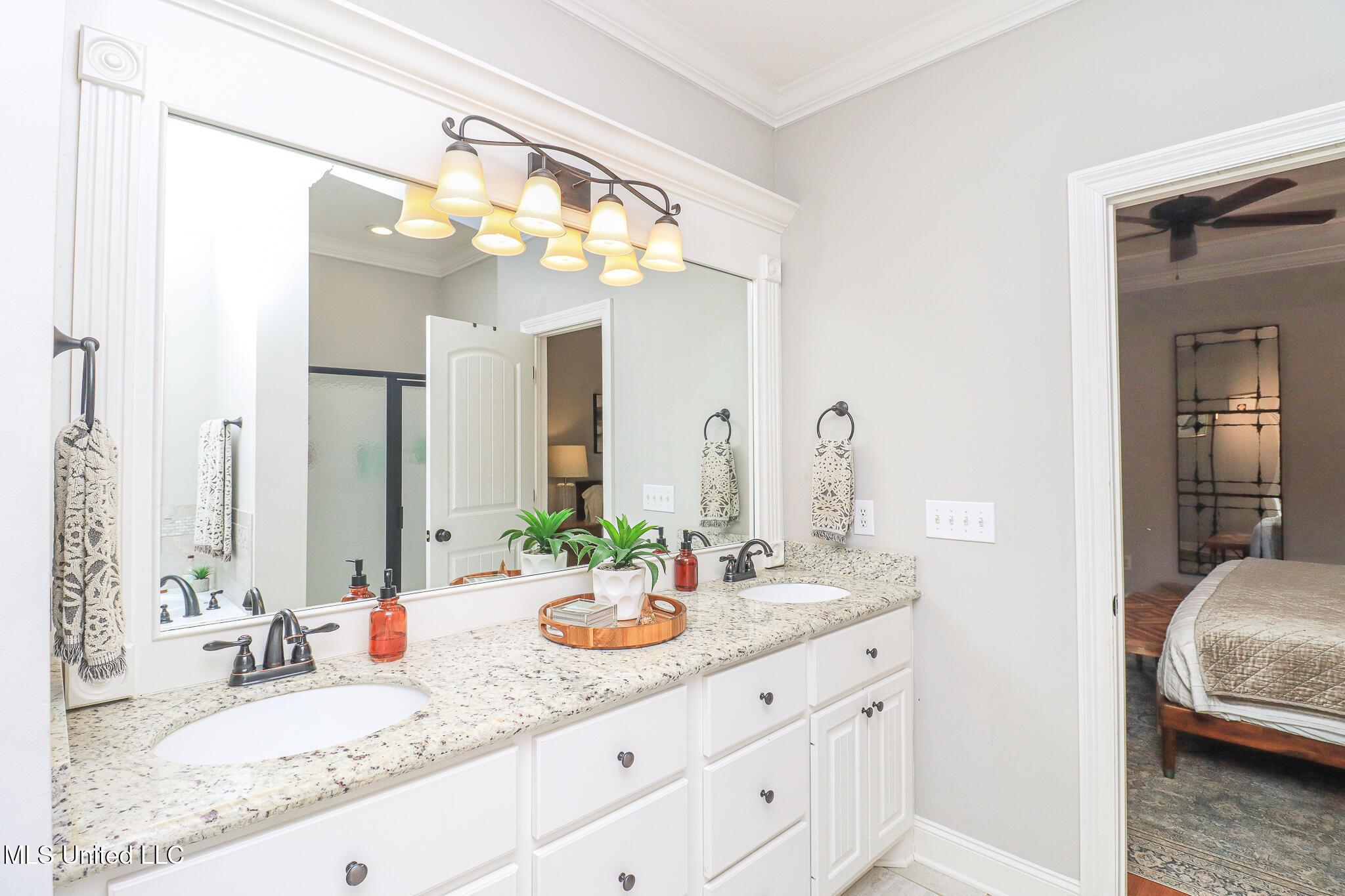 212 Falls Crossing Madison, MS 39110 - Photo 24 of 39 212 Falls Crossing 29