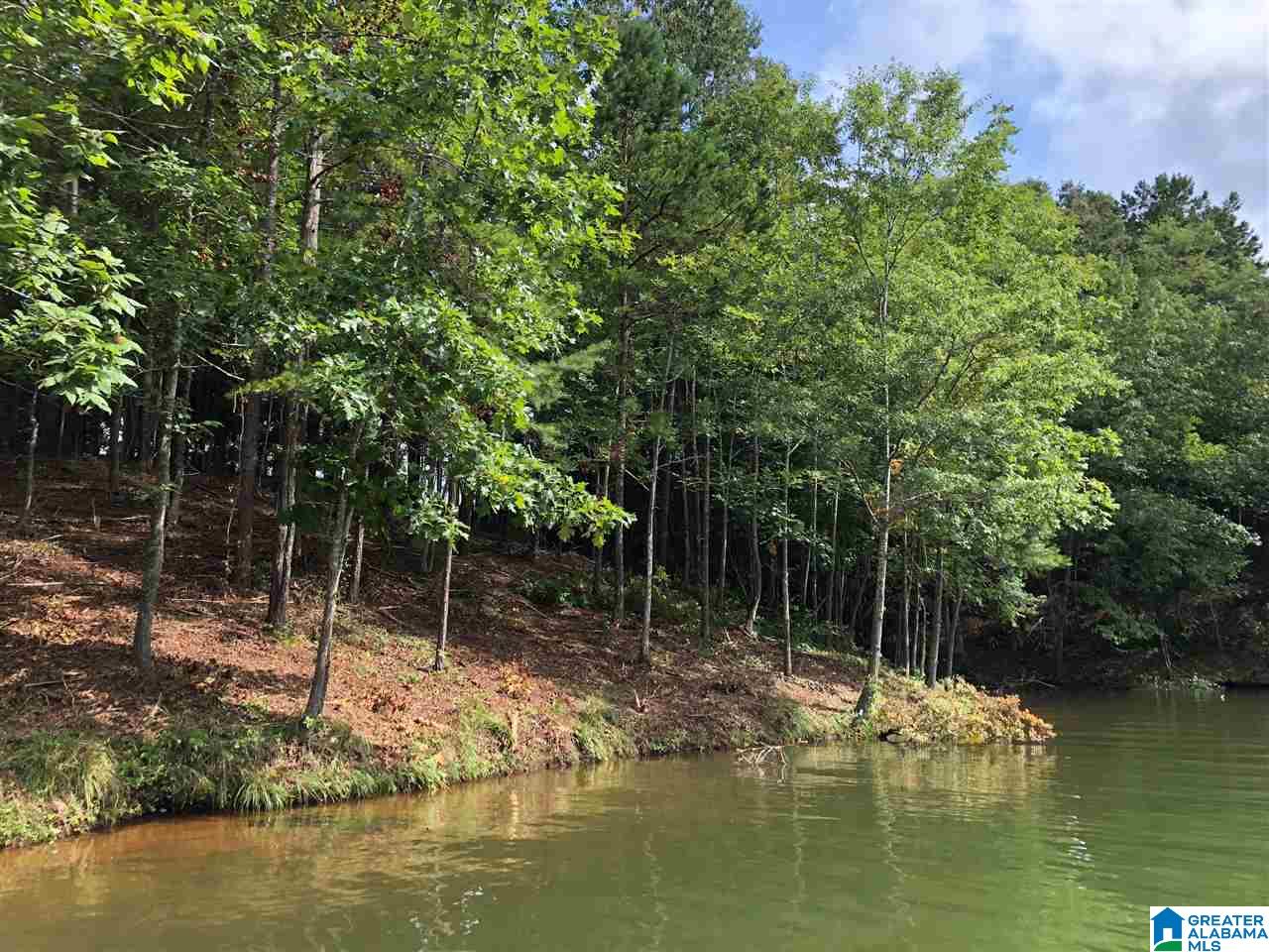 6 County Road, Unit 55A Wedowee, AL 36278 - Photo 2 of 6 Gallery Image 2