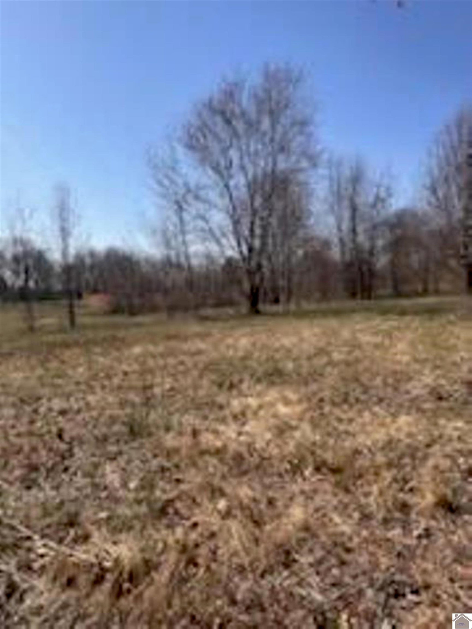 739 Armstrong Road Smithland, KY 42081 - Photo 6 of 11 Photo 6
