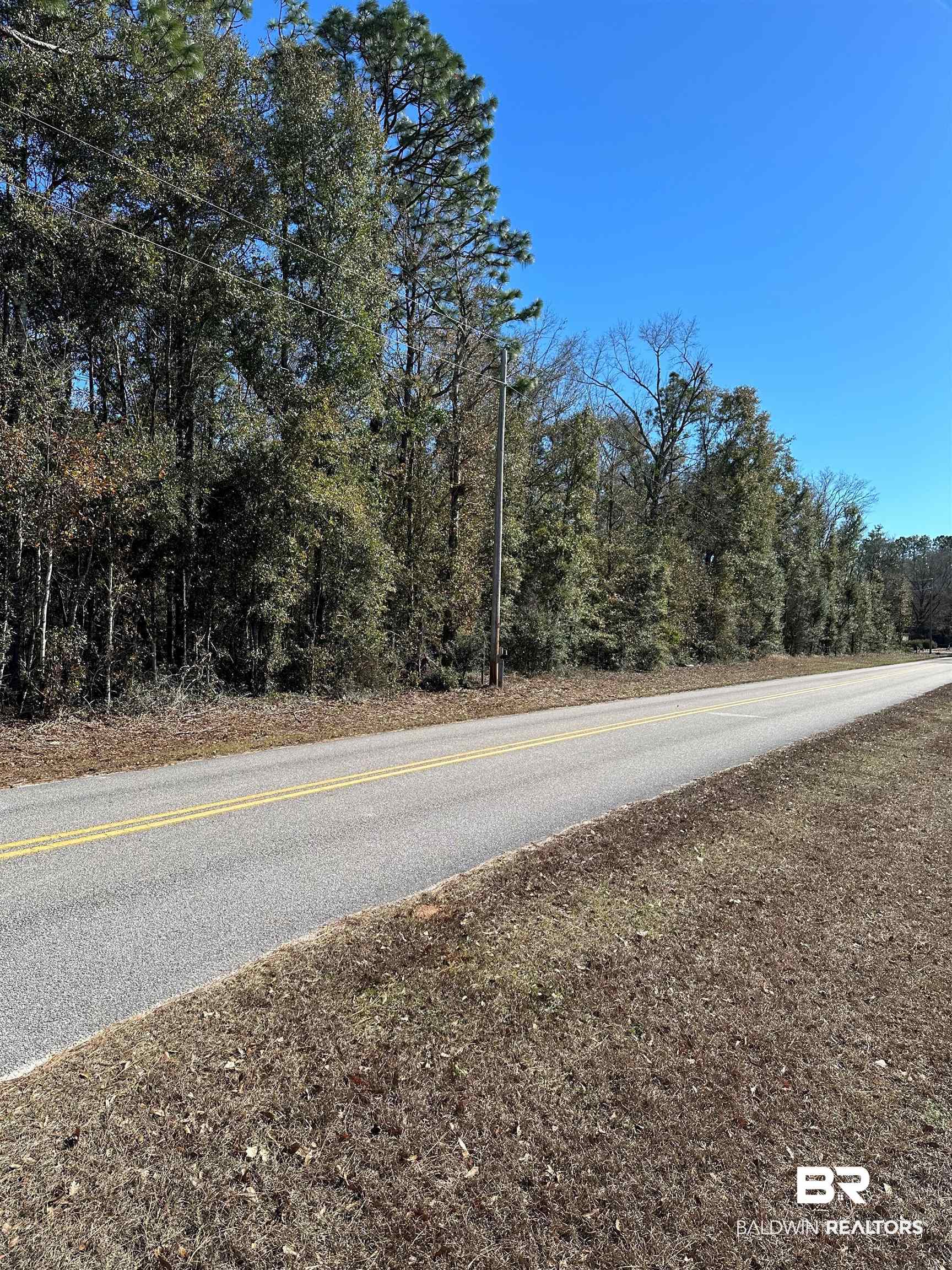 0 Patterson Road Loxley, AL 36551 - Photo 2 of 4
