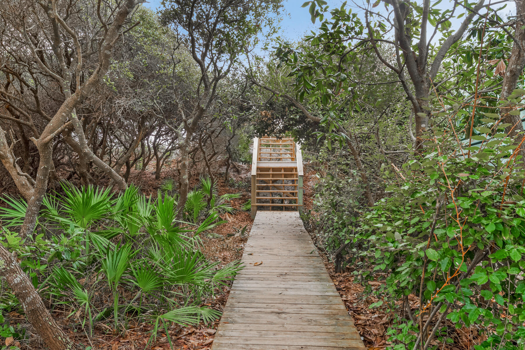 108 Pelican Circle Inlet Beach, FL 32461 - Photo 25 of 75 Aqua-25