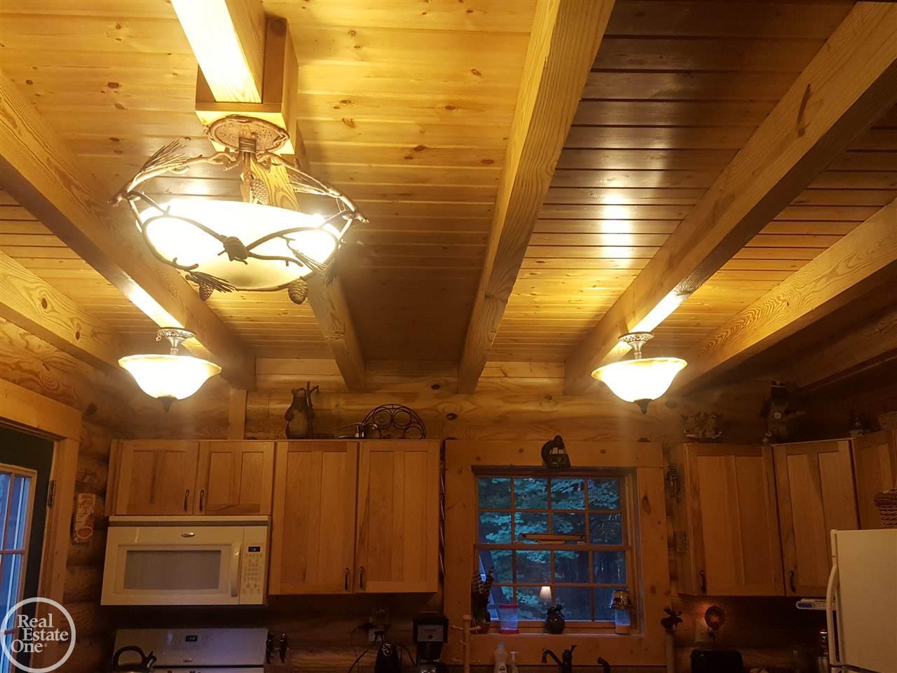 4396 Mortimer Line Road Croswell, MI 48422 - Photo 9 of 42