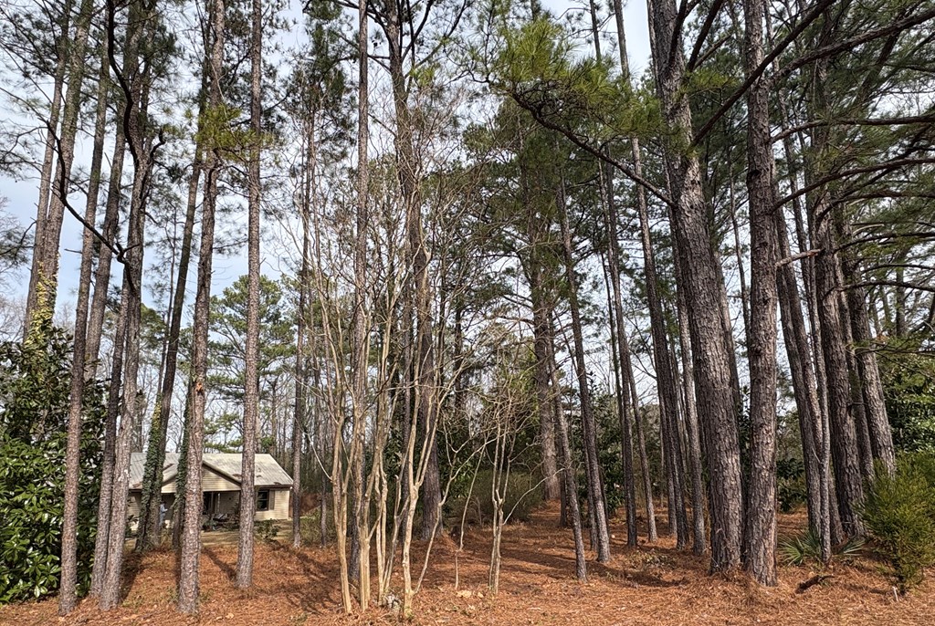 799 Cannon Road Fortson, GA 31808 - Photo 45 of 45 Gallery Image 45
