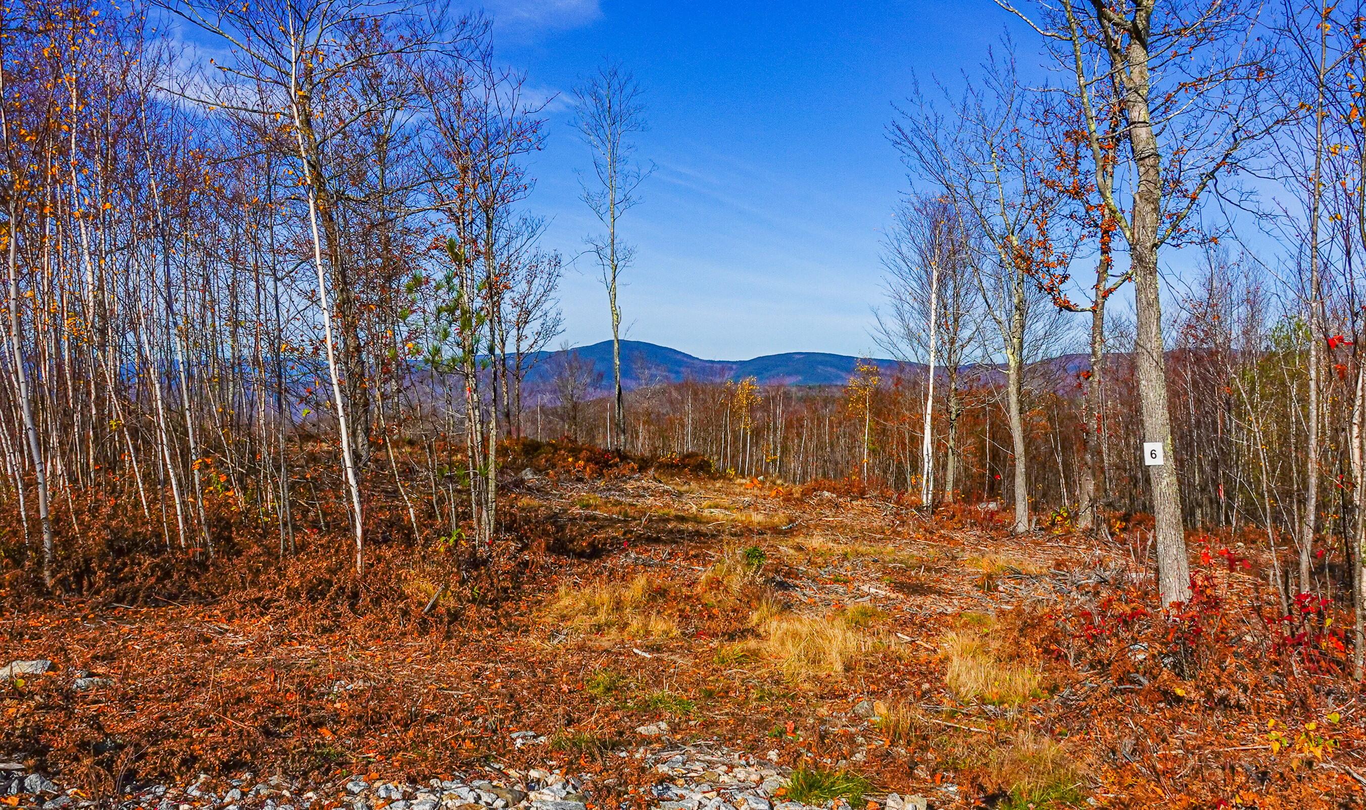 Lot 6 Mine Road Stoneham, ME 04231 - Photo 1 of 7 Lot 6A-merrill farm lots-12 copy