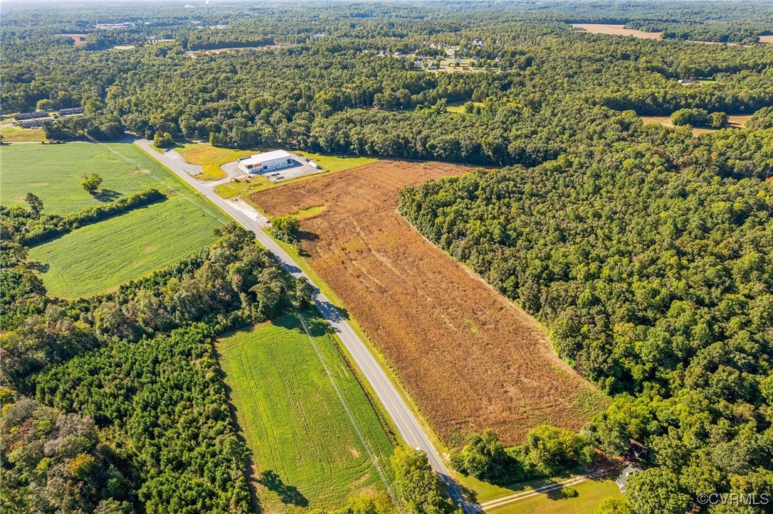 0 King William Road Aylett, VA 23009 - Photo 11 of 16 a view of a yard