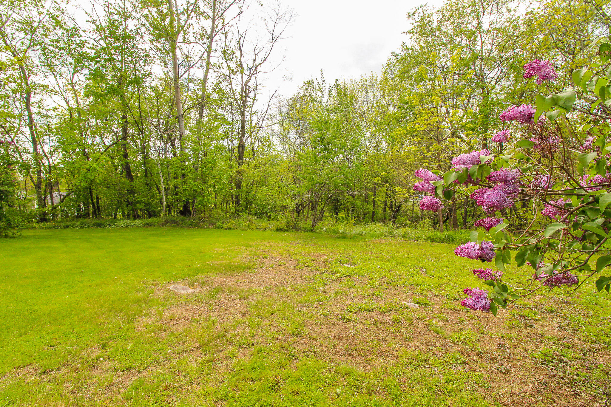 1350 Pushaw Road Glenburn, ME 04401 - Photo 3 of 31 IMG_0009