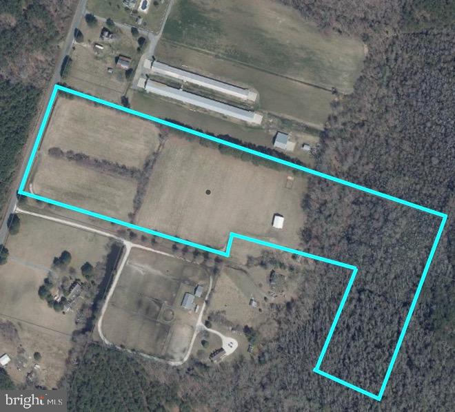 3985 Jesterville Road Tyaskin, MD 21865 - Photo 1 of 24 Google Photo Far Left Plant Young Pines now