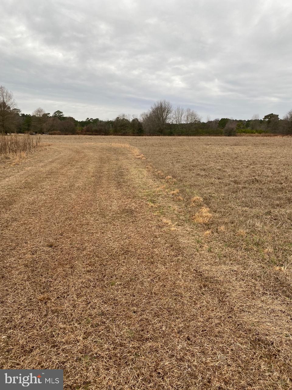 3985 Jesterville Road Tyaskin, MD 21865 - Photo 3 of 24 From Building towards Front