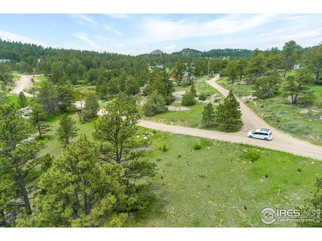 a view of a lush green field with lots of trees in the background