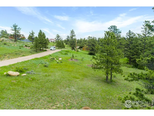 a view of a big yard with large trees