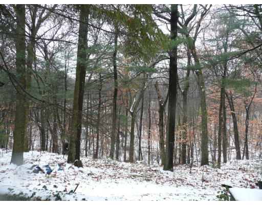 3 Country Corners Road Wayland, MA 01778 - Photo 12 of 12 Gallery Image 12