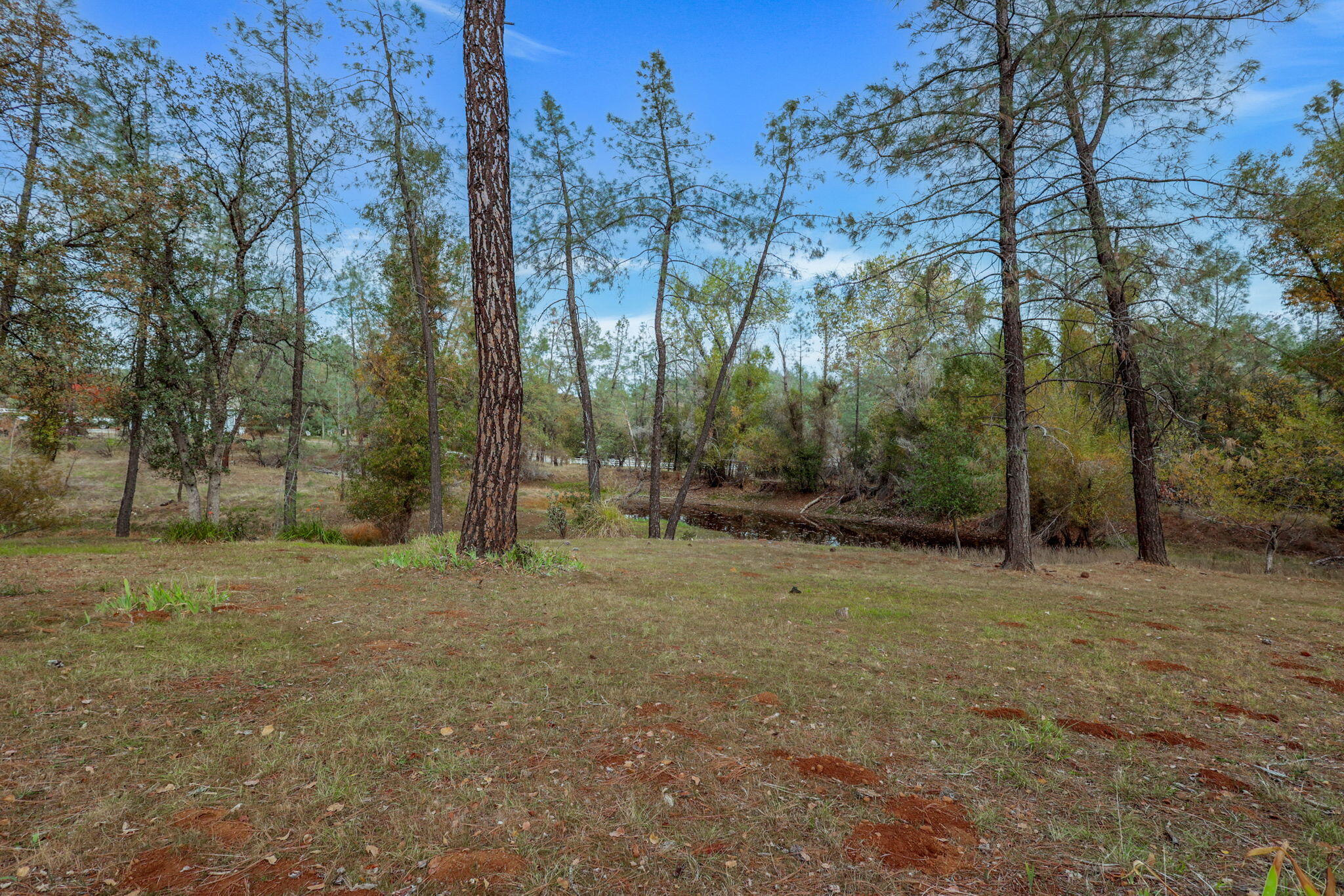 13144 Bear Mountain Road Redding, CA 96003 - Photo 55 of 69 a view of outdoor space with trees