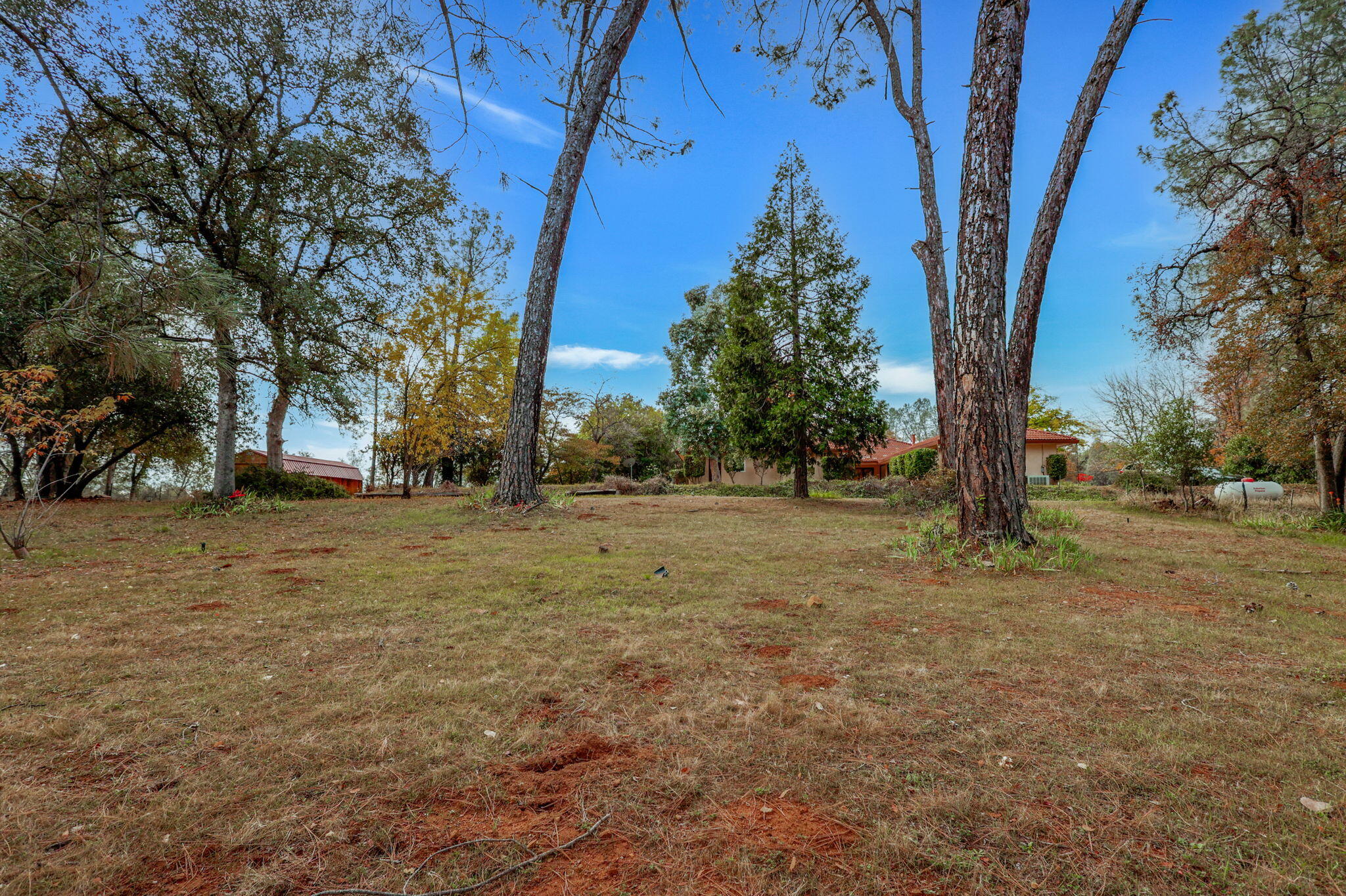13144 Bear Mountain Road Redding, CA 96003 - Photo 56 of 69 a view of outdoor space with trees