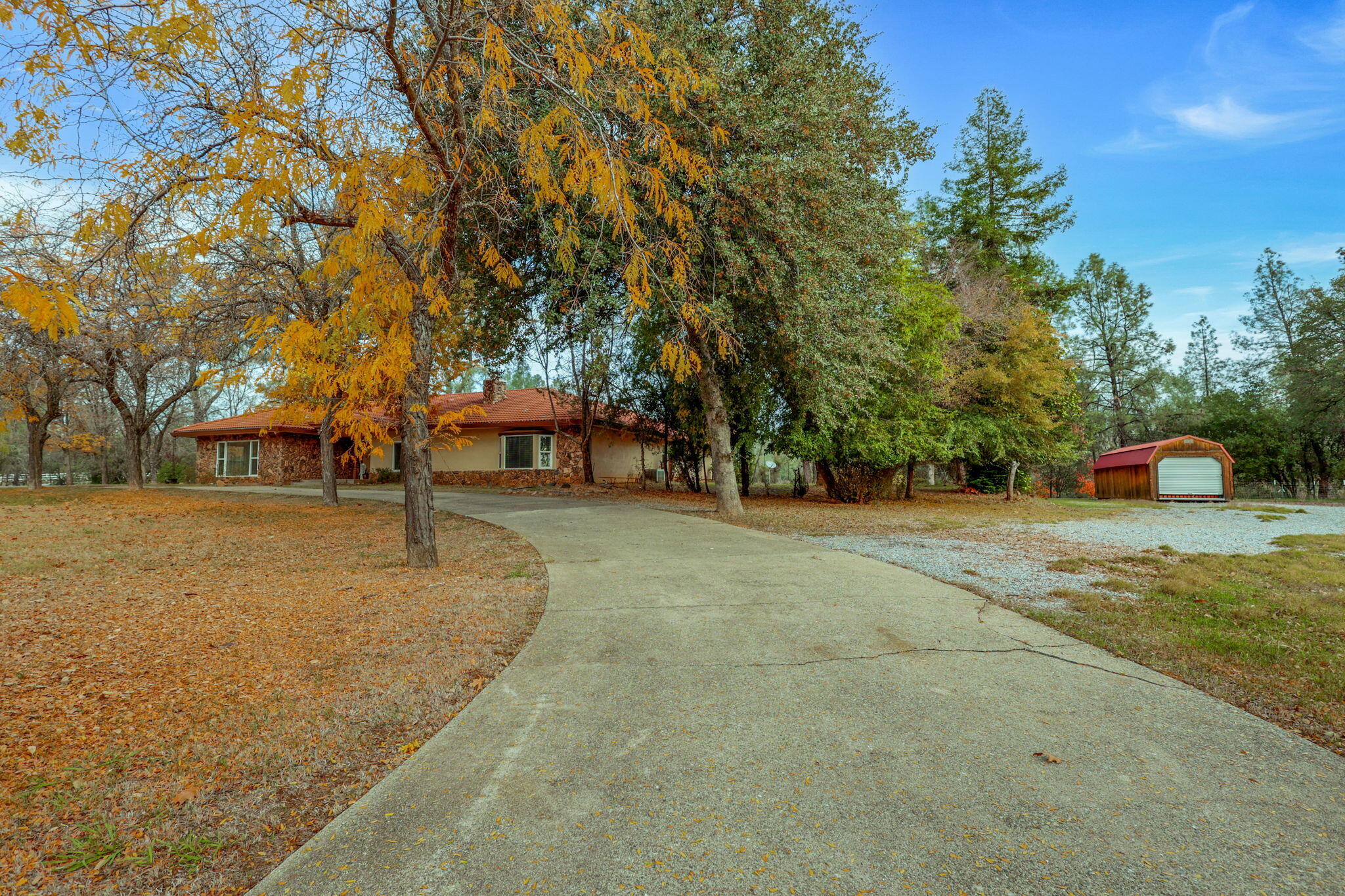 13144 Bear Mountain Road Redding, CA 96003 - Photo 60 of 69 73-web-or-mls-_K3A9976