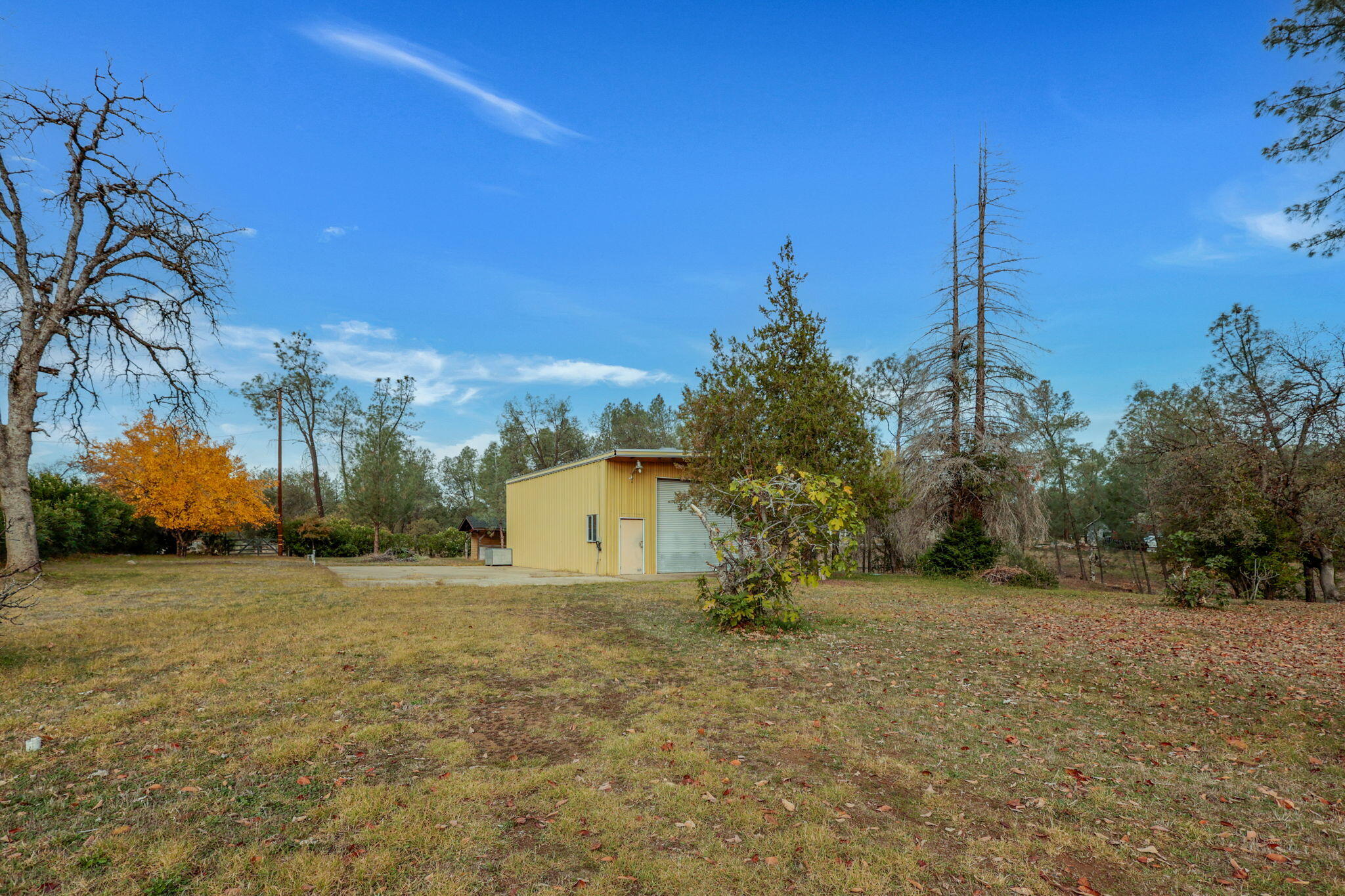 13144 Bear Mountain Road Redding, CA 96003 - Photo 68 of 69 a view of a field with a tree in the background
