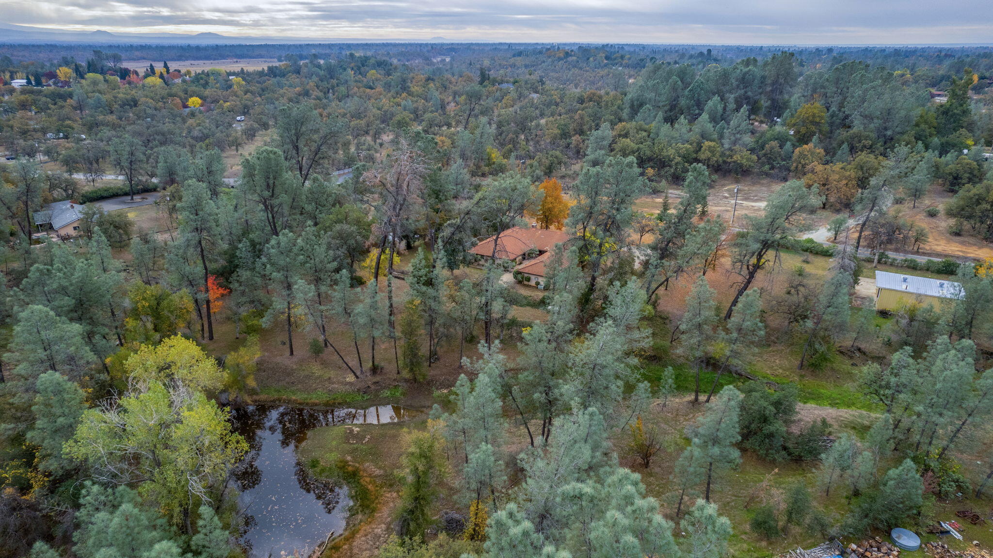 13144 Bear Mountain Road Redding, CA 96003 - Photo 69 of 69 a view of a forest with a lake and mountain view