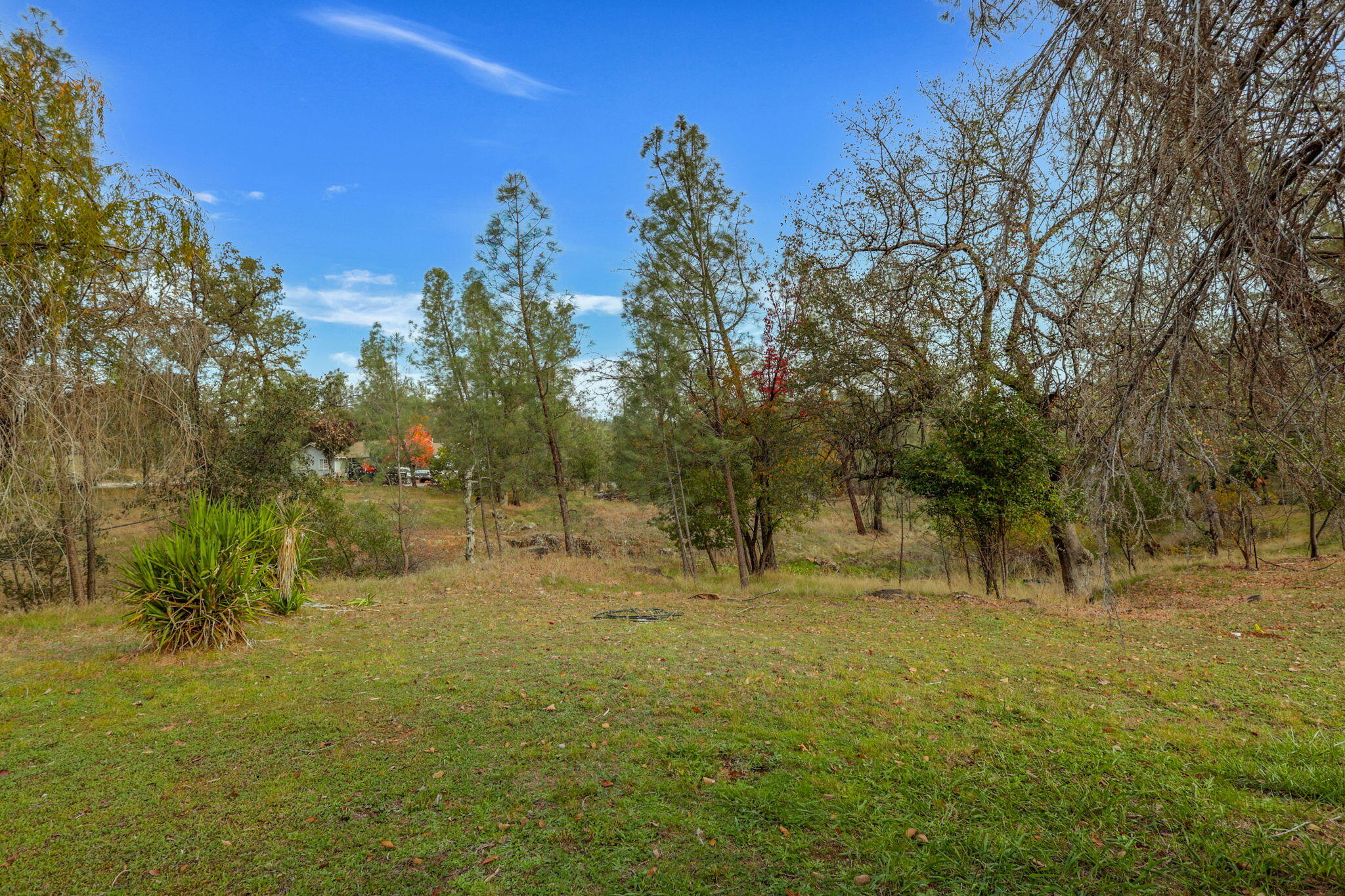 13144 Bear Mountain Road Redding, CA 96003 - Photo 7 of 69 a view of outdoor space with trees all around
