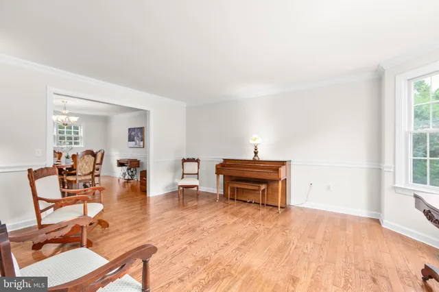 a view of a yard with plants and large trees