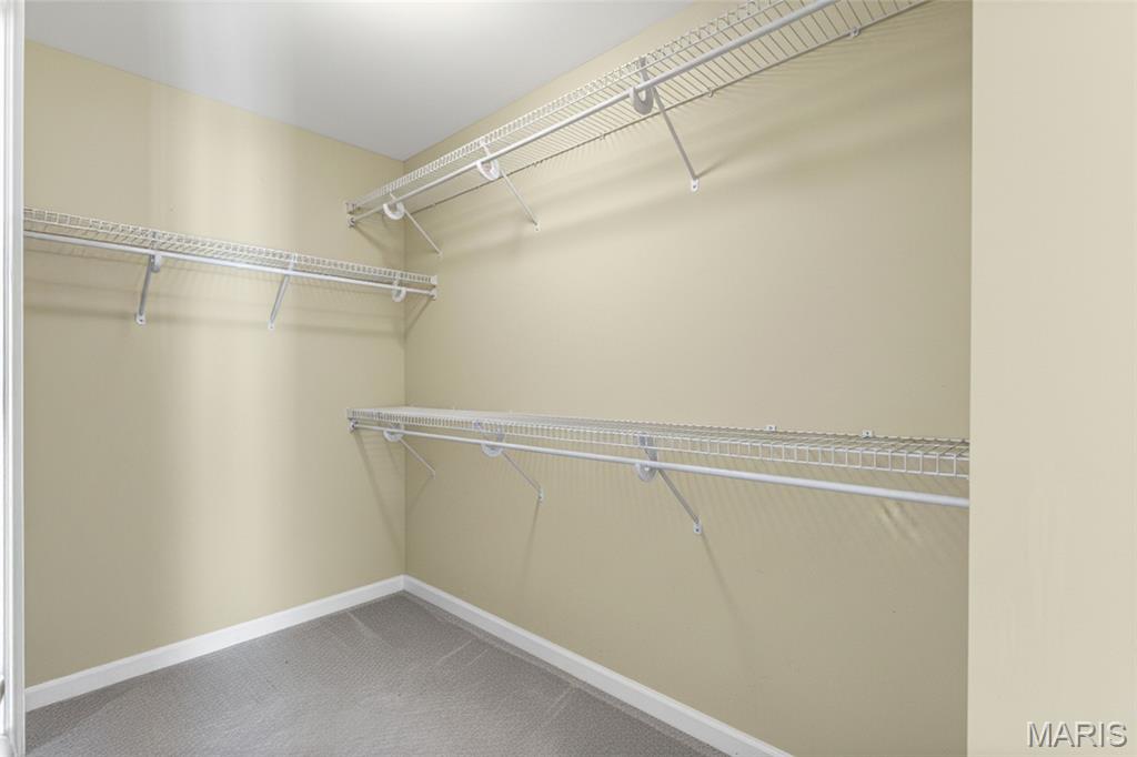 417 South Geyer Road, Unit 2 Kirkwood, MO 63122 - Photo 29 of 51