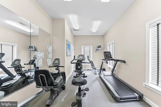 a living room with furniture a rug and a window