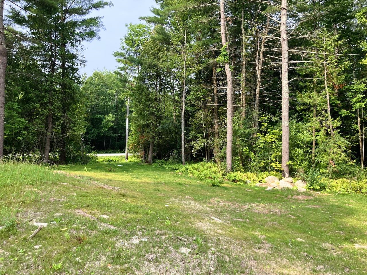 Lot 4 Fern Lake Road Leicester, VT 05733 - Photo 14 of 22